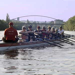 Bilder SEIN - gesund, bewusst, lebendig