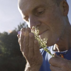 Bilder SEIN - gesund, bewusst, lebendig