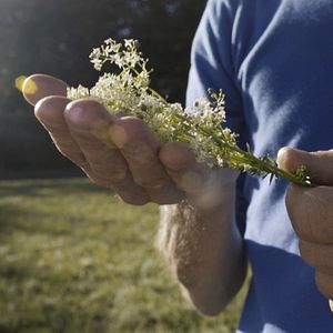 Bilder SEIN - gesund, bewusst, lebendig