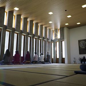 Bilder SEIN - gesund, bewusst, lebendig