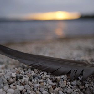 Bilder SEIN - gesund, bewusst, lebendig