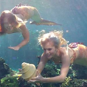 Bilder Mako - Einfach Meerjungfrau