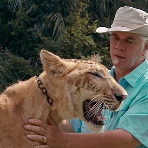 Bilder Tiger King