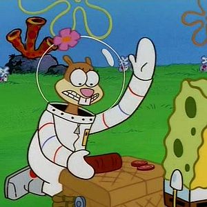 Bilder SpongeBob Schwammkopf