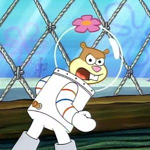 Bilder SpongeBob Schwammkopf