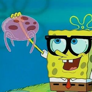 Bilder SpongeBob Schwammkopf