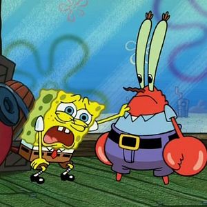 Bilder SpongeBob Schwammkopf