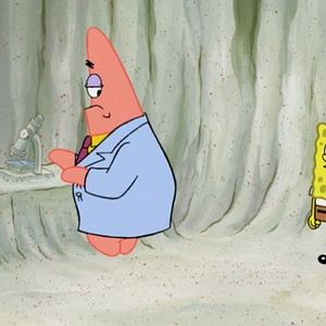 Bilder SpongeBob Schwammkopf