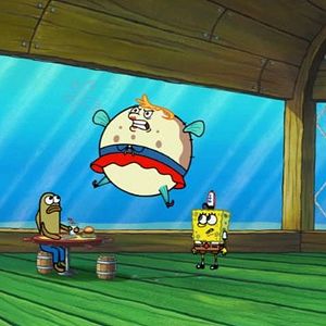 Bilder SpongeBob Schwammkopf