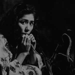 Bilder Schwarzer Regen