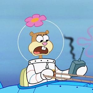 Bilder SpongeBob Schwammkopf