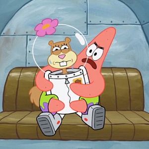 Bilder SpongeBob Schwammkopf