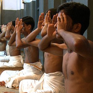 Bilder The table with the dogs