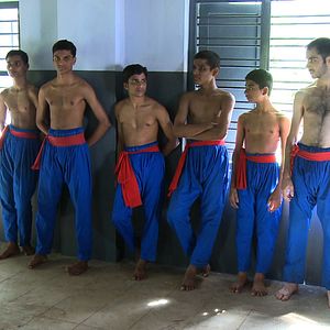 Bilder The table with the dogs