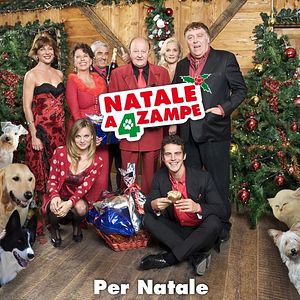 Bilder Fünf-Sterne-Hotel für Hunde