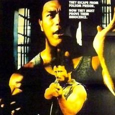 Bilder Tödliche Fäuste