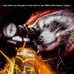 Bilder Killer Raccoons! 2! Dark Christmas In The Dark!