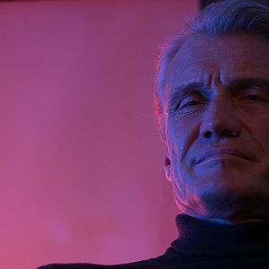 Bilder Dolph Lundgren