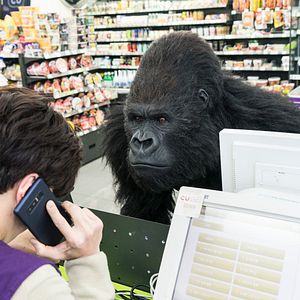 Bilder Rettet den Zoo