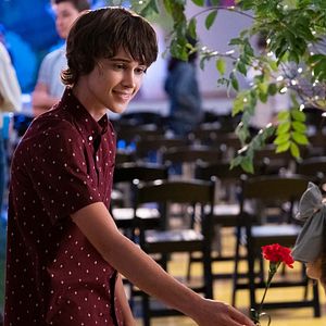 Bilder Süße Magnolien