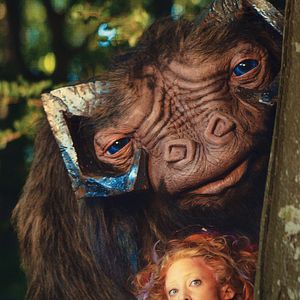 Bilder Emily und der vergessene Zauber