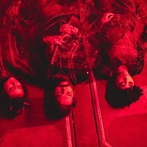 Bilder Vagrant Queen