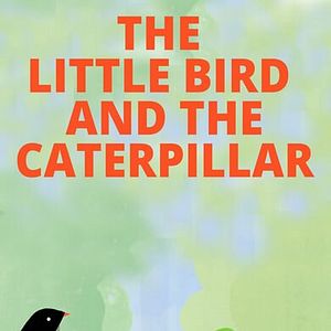 Bilder Der kleine Vogel und die Raupe