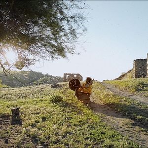 Bilder Land des Honigs