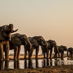 Bilder Okavango: River Of Dreams