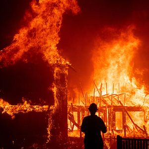 Bilder Rebuilding Paradise