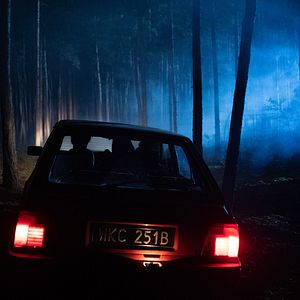 Bilder Das Grab im Wald