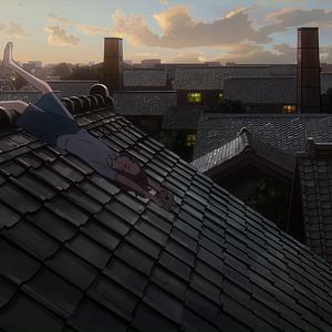 Bilder Um ein Schnurrhaar