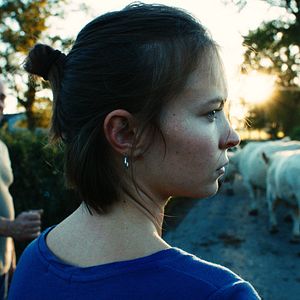 Bilder La Terre des hommes