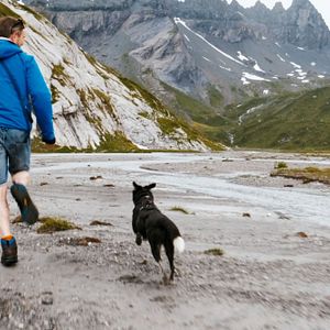 Bilder Cody - Wie ein Hund die Welt verändert