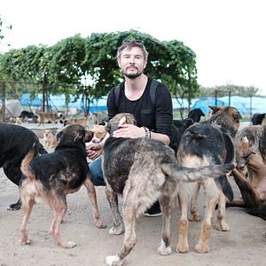 Bilder Cody - Wie ein Hund die Welt verändert