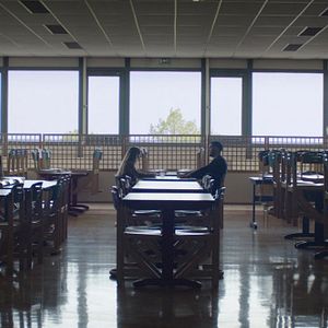 Bilder Die Samen, die wir säen