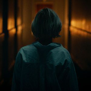 Bilder De l’or pour les chiens