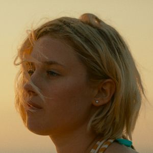 Bilder De l’or pour les chiens