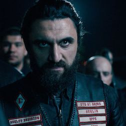 Bilder Dogs Of Berlin