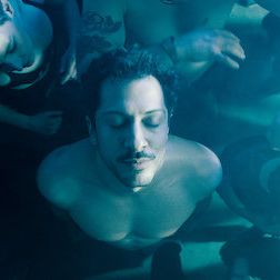 Bilder Dogs Of Berlin