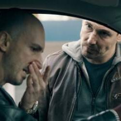 Bilder Dogs Of Berlin