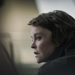 Bilder Dogs Of Berlin