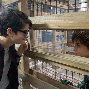 Bilder Lara McDonnell