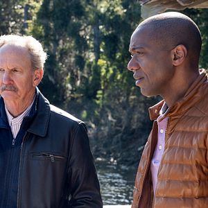 Bilder Michael O'Neill