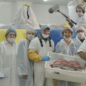 Bilder Ça tourne à Saint-Pierre et Miquelon