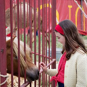 Bilder Elisa de Lambert