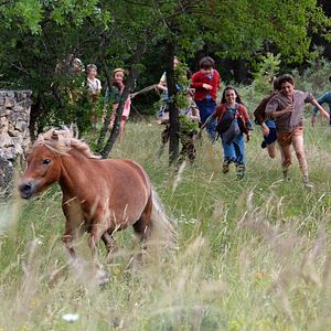 Bilder Mein Freund Poly