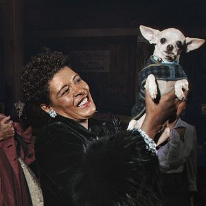 Bilder Billie – Legende des Jazz