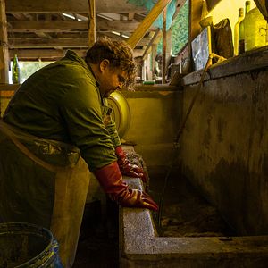 Bilder Nobody Knows I'm Here