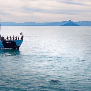 Bilder Sea of Shadows - Der Kampf um das Kokain des Meeres